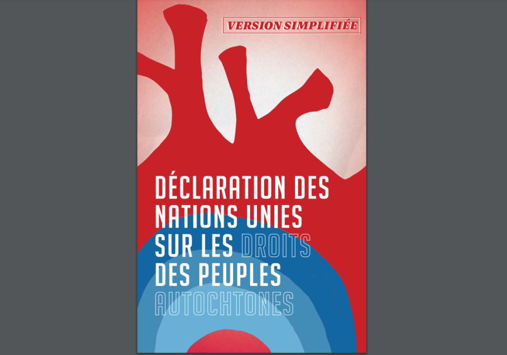 Image Déclaration des nations unies sur les droits des peuples autochtones