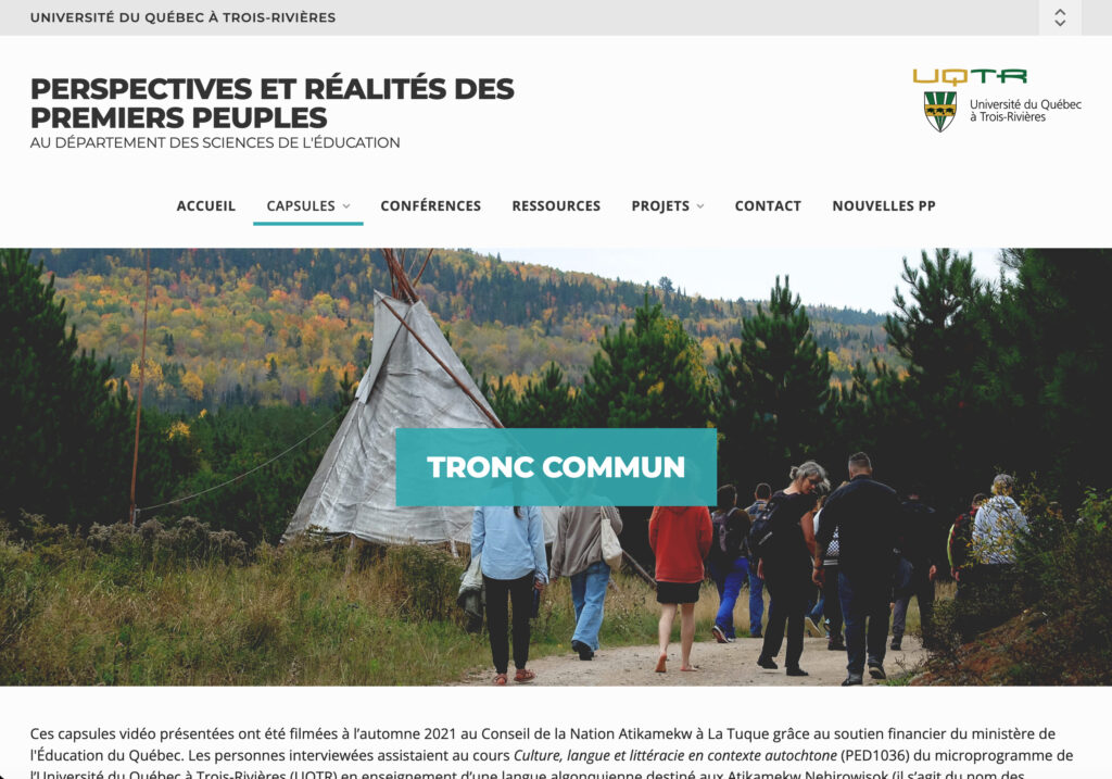 Perspectives et réalités des PP UQTR